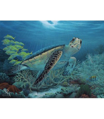 Sea Turtle Painting