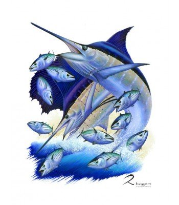 Bonito Blue Marlin Sailfish